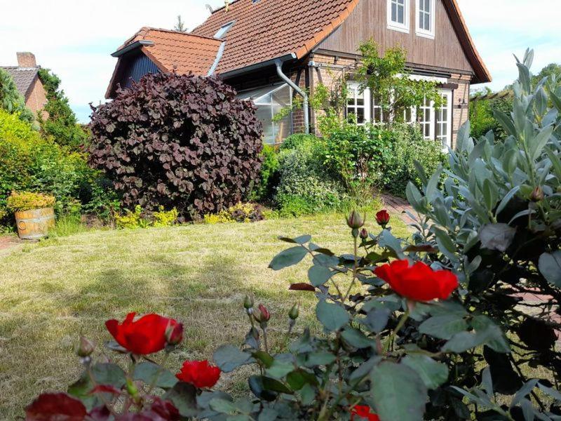Ferienhaus Gartower See Exterior photo